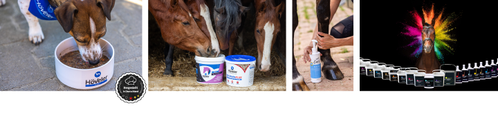 Kategoriebanner Black Week Produkte